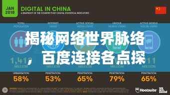 揭秘网络世界脉络，百度连接各点探秘