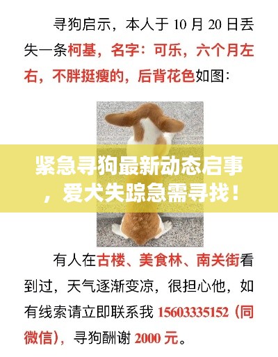 紧急寻狗最新动态启事,爱犬失踪急需寻找!