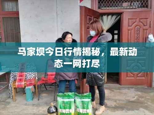 马家坝今日行情揭秘，最新动态一网打尽