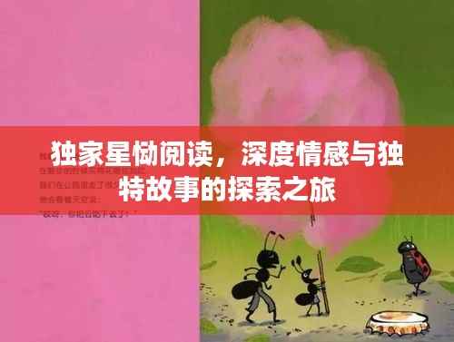 独家星恸阅读，深度情感与独特故事的探索之旅