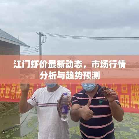 江门虾价最新动态，市场行情分析与趋势预测