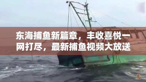 东海捕鱼新篇章,丰收喜悦一网打尽,最新捕鱼视频大放送!