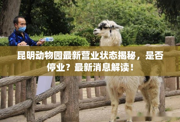 昆明动物园最新营业状态揭秘,是否停业?最新消息解读!