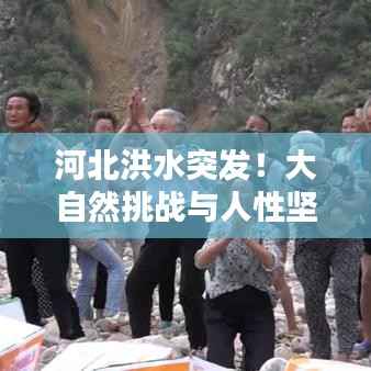 河北洪水突发！大自然挑战与人性坚韧瞬间记录
