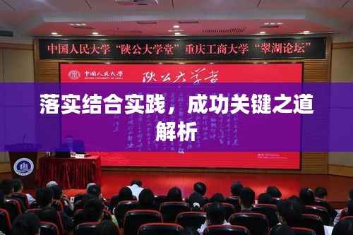 落实结合实践,成功关键之道解析