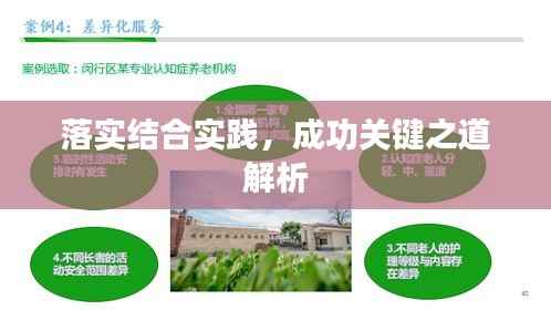 落实结合实践,成功关键之道解析