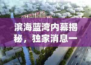 滨海蓝湾内幕揭秘,独家消息一网打尽