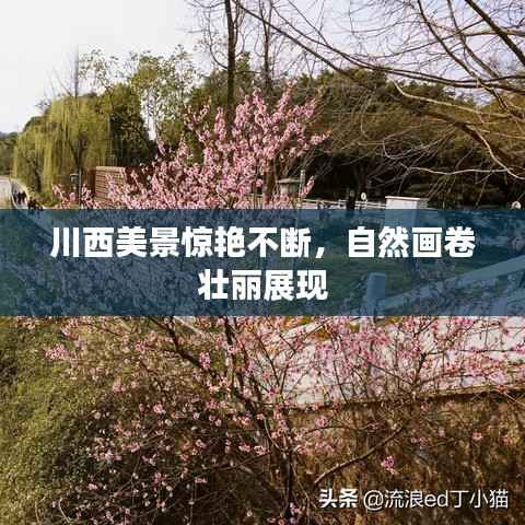 川西美景惊艳不断,自然画卷壮丽展现