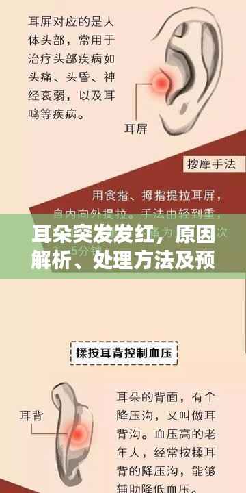 耳朵突发发红，原因解析、处理方法及预防措施