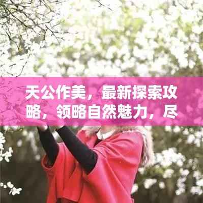 天公作美，最新探索攻略，领略自然魅力，尽享人生精彩瞬间