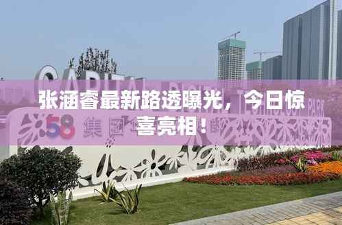 张涵睿最新路透曝光,今日惊喜亮相!