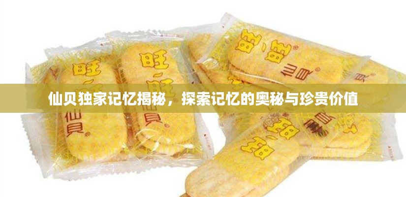 仙贝独家记忆揭秘，探索记忆的奥秘与珍贵价值