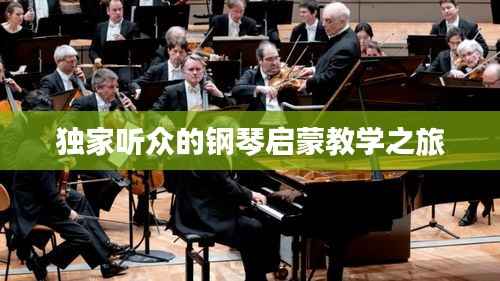 独家听众的钢琴启蒙教学之旅