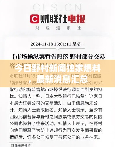 今日野村新闻独家爆料,最新消息汇总