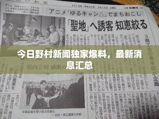 今日野村新闻独家爆料,最新消息汇总