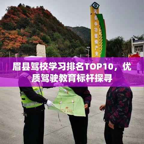 眉县驾校学习排名TOP10，优质驾驶教育标杆探寻