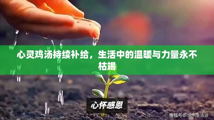 心灵鸡汤持续补给，生活中的温暖与力量永不枯竭