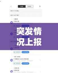 突发情况上报的重要性与流程解析,保障信息畅通,守护安全防线