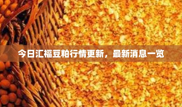 今日汇福豆粕行情更新,最新消息一览