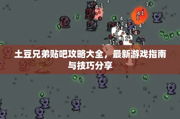 土豆兄弟贴吧攻略大全,最新游戏指南与技巧分享