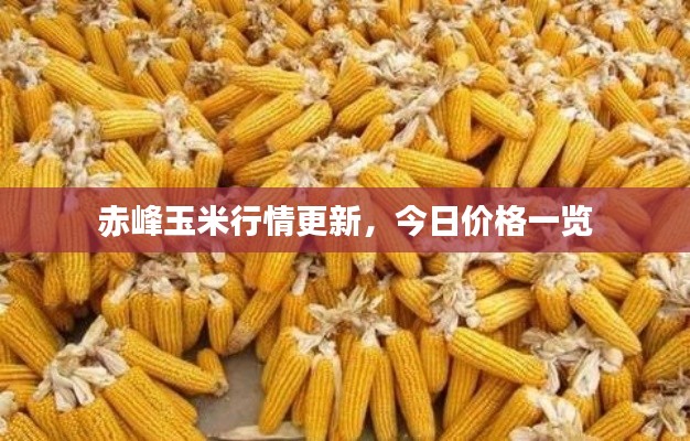 赤峰玉米行情更新,今日价格一览