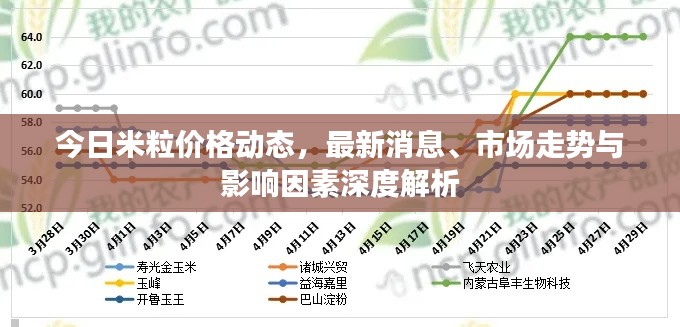 今日米粒价格动态,最新消息、市场走势与影响因素深度解析