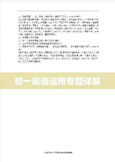 初一成语运用专题详解