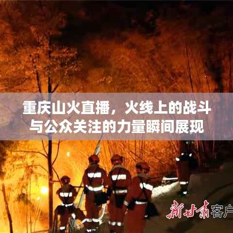 重庆山火直播,火线上的战斗与公众关注的力量瞬间展现