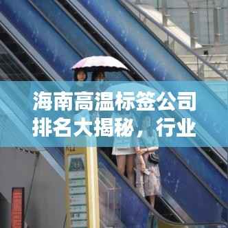 海南高温标签公司排名大揭秘,行业影响力解析
