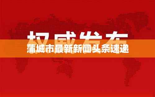 蒲城市最新新闻头条速递