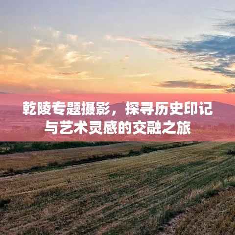 乾陵专题摄影,探寻历史印记与艺术灵感的交融之旅