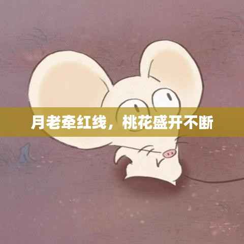 月老牵红线，桃花盛开不断