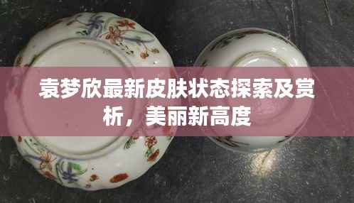 袁梦欣最新皮肤状态探索及赏析,美丽新高度