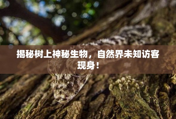 揭秘树上神秘生物,自然界未知访客现身!
