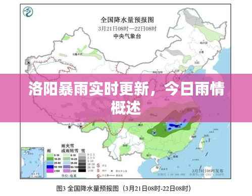 洛阳暴雨实时更新,今日雨情概述