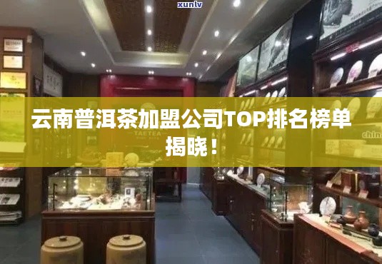云南普洱茶加盟公司TOP排名榜单揭晓!