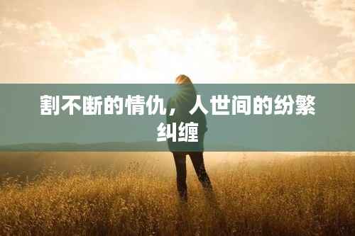 割不断的情仇,人世间的纷繁纠缠