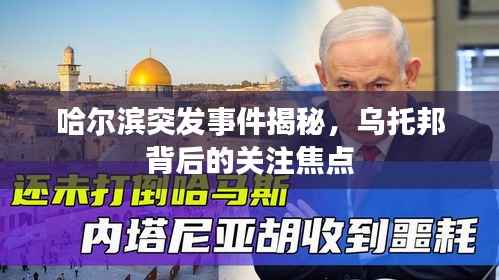 哈尔滨突发事件揭秘,乌托邦背后的关注焦点