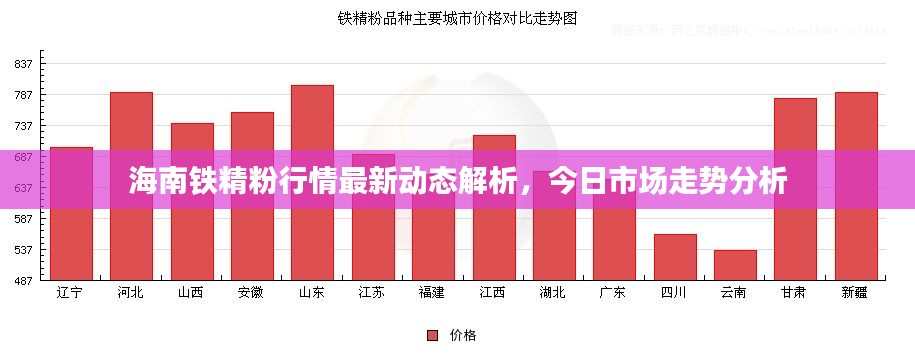 海南铁精粉行情最新动态解析,今日市场走势分析