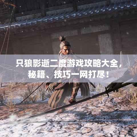 只狼影逝二度游戏攻略大全，秘籍、技巧一网打尽！