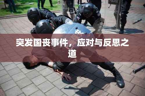 突发国丧事件,应对与反思之道