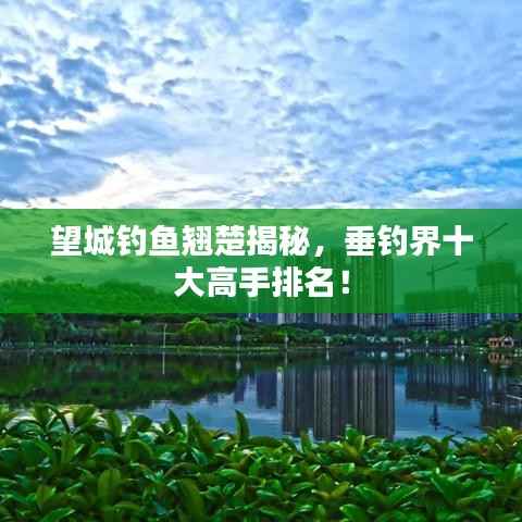 望城钓鱼翘楚揭秘,垂钓界十大高手排名!