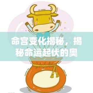 命宫变化揭秘，揭秘命运起伏的奥秘！