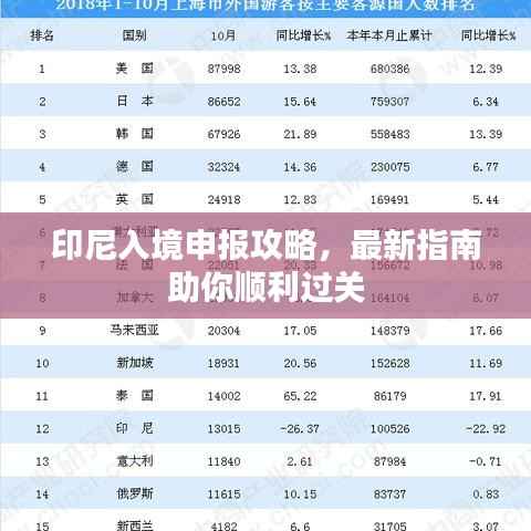 印尼入境申报攻略，最新指南助你顺利过关
