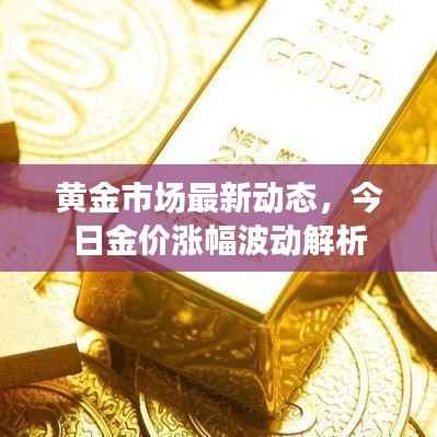 黄金市场最新动态,今日金价涨幅波动解析