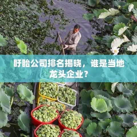 盱眙公司排名揭晓,谁是当地龙头企业?