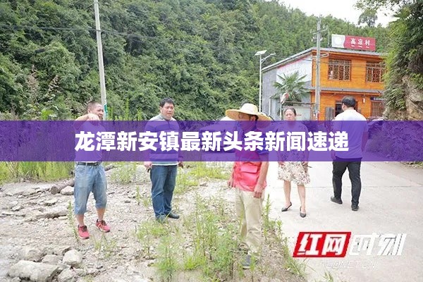 龙潭新安镇最新头条新闻速递