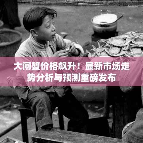 大闸蟹价格飙升！最新市场走势分析与预测重磅发布