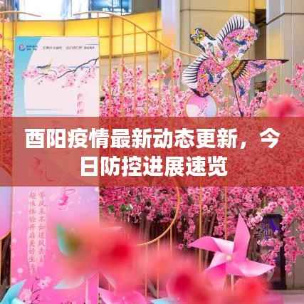 酉阳疫情最新动态更新,今日防控进展速览