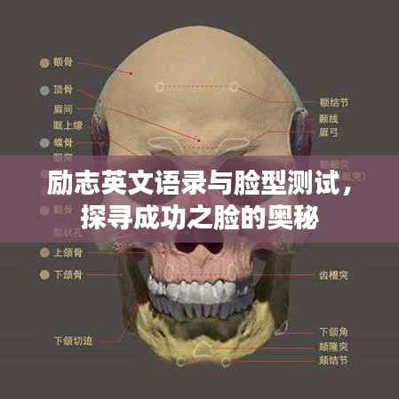 励志英文语录与脸型测试,探寻成功之脸的奥秘